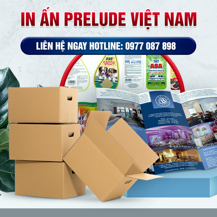 Công Ty TNHH In Ấn Prelude Việt Nam